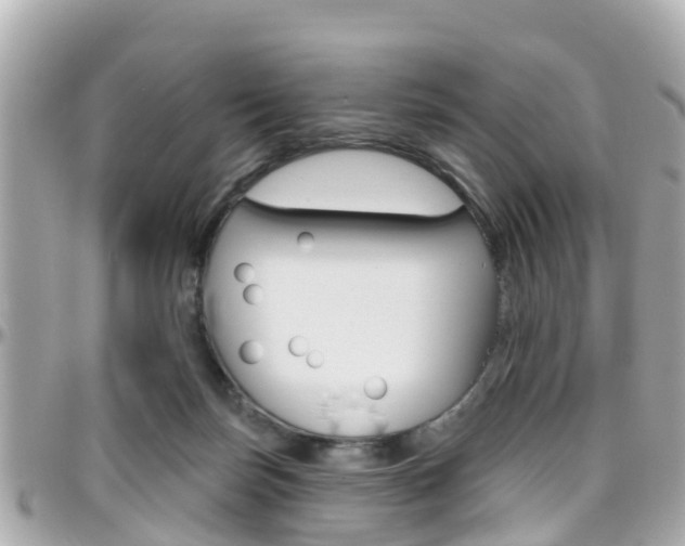 X0000096450171200801241148