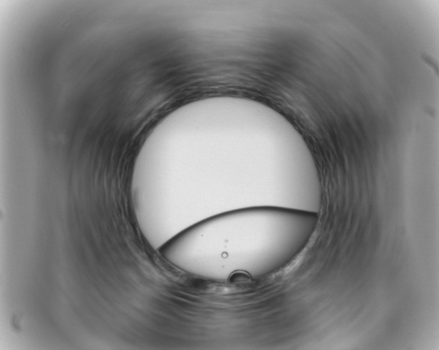X0000096450174200801241148
