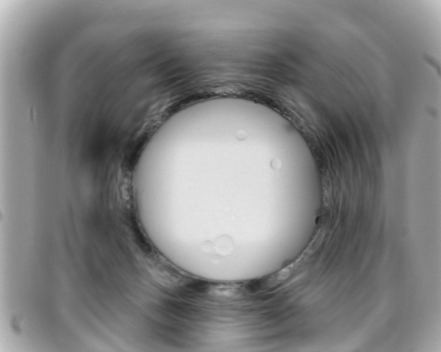 X0000096450175200801241148