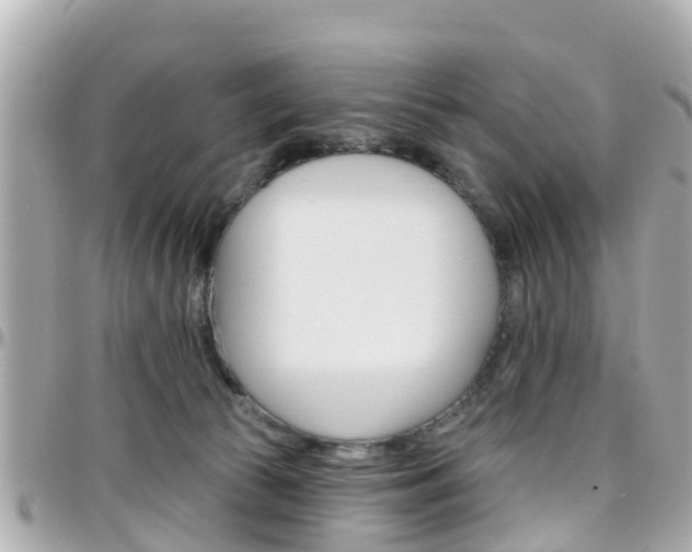 X0000096450177200801241148