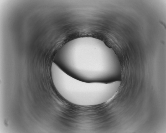 X0000096450183200801241148