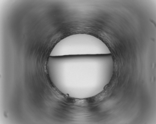 X0000096450185200801241148