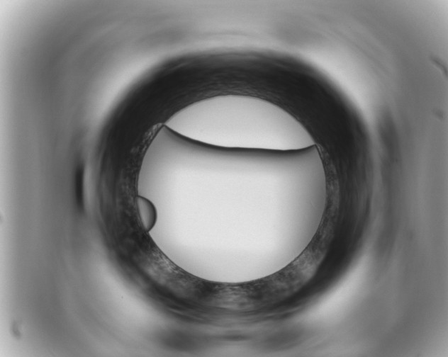 X0000096450189200801241148