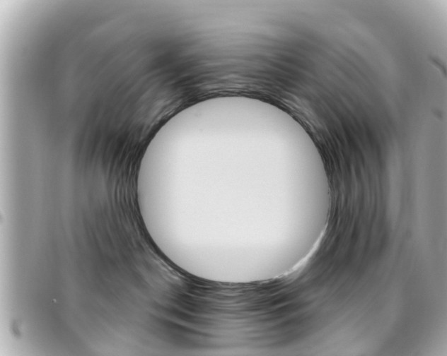 X0000096450190200801241148