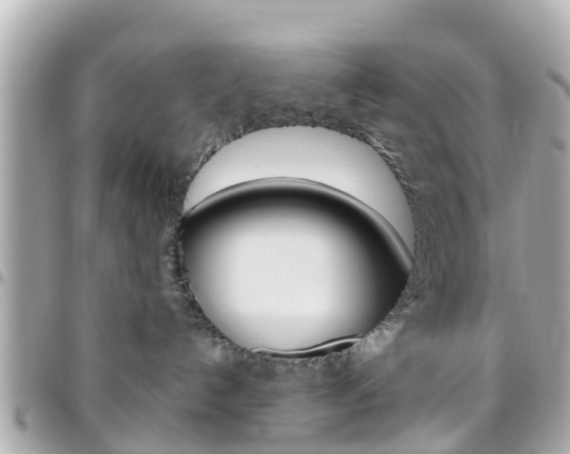 X0000096450192200801241148