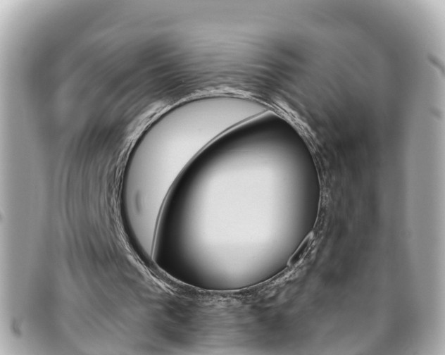 X0000096450193200801241147