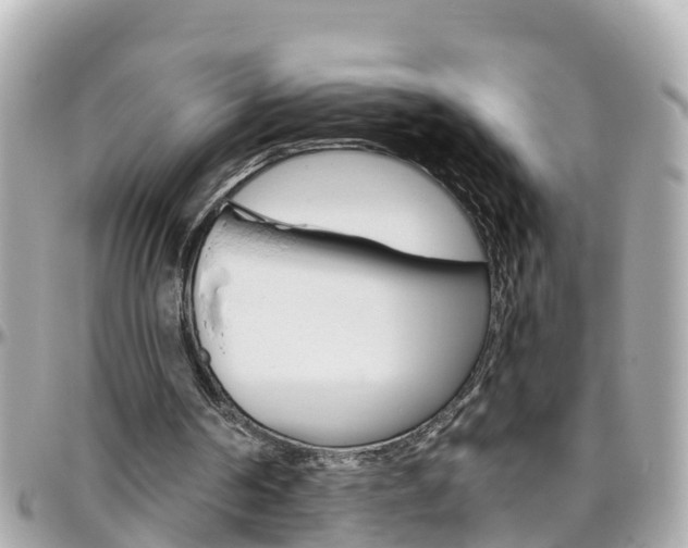 X0000096450194200801241147