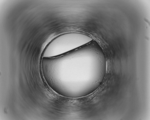 X0000096450195200801241147