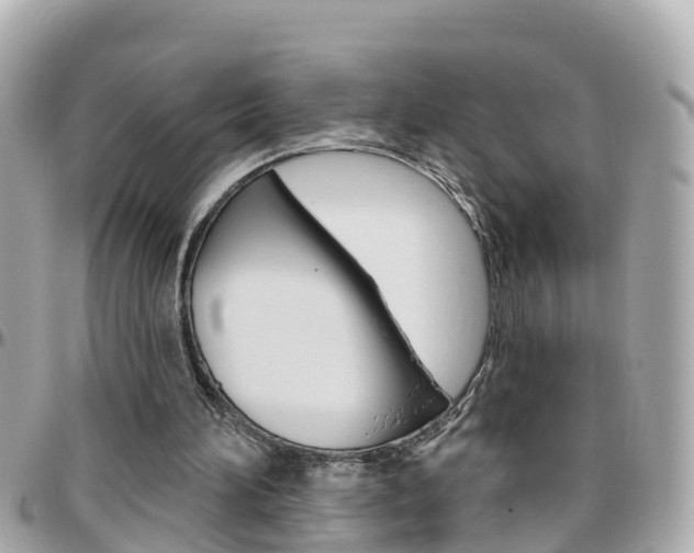 X0000096450196200801241147