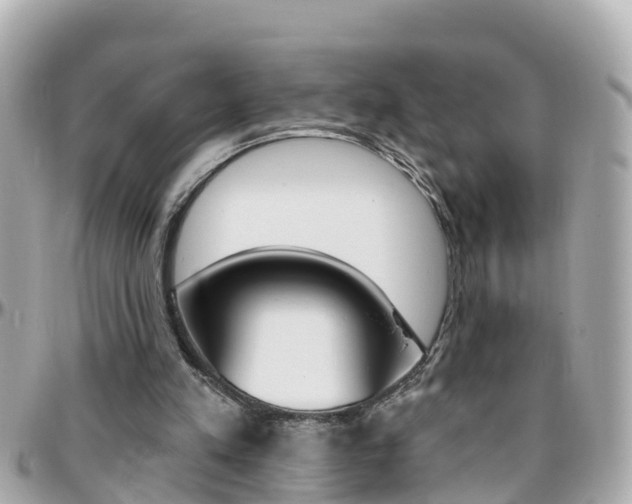 X0000096450197200801241147