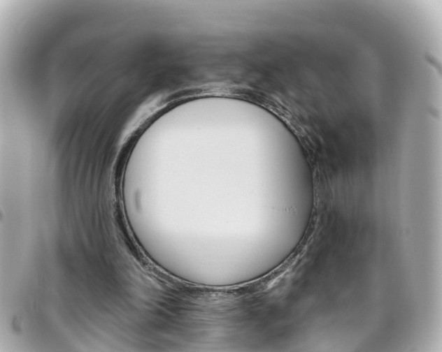 X0000096450198200801241147
