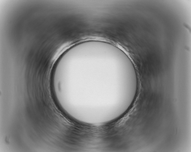 X0000096450199200801241147
