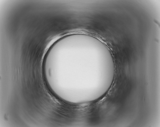 X0000096450200200801241147
