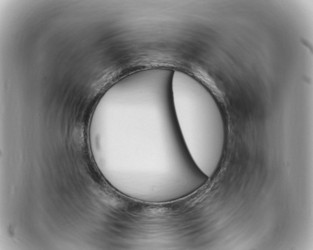 X0000096450202200801241147
