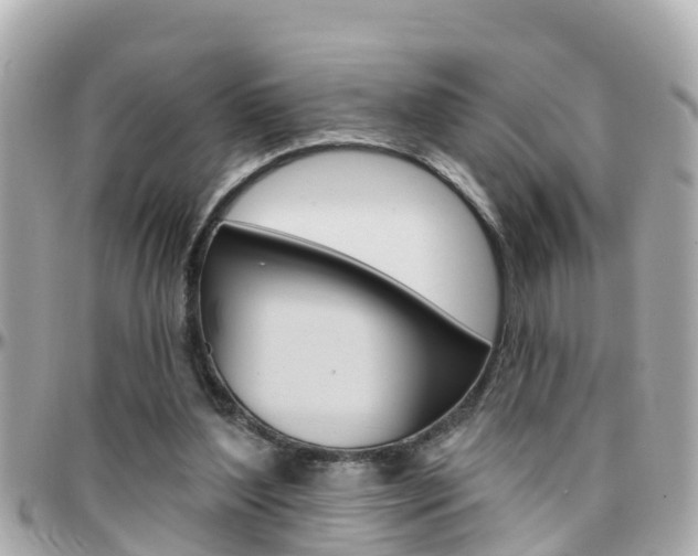 X0000096450204200801241147