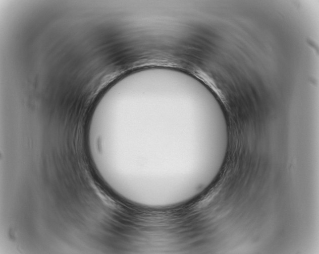X0000096450205200801241147