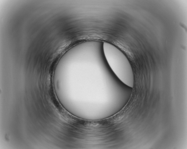 X0000096450206200801241147