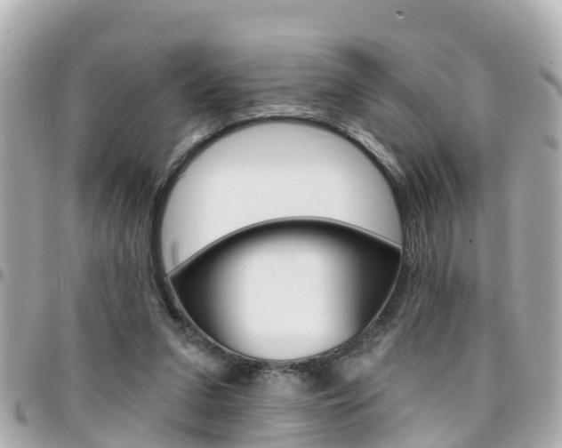 X0000096450207200801241147