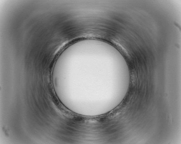 X0000096450208200801241147