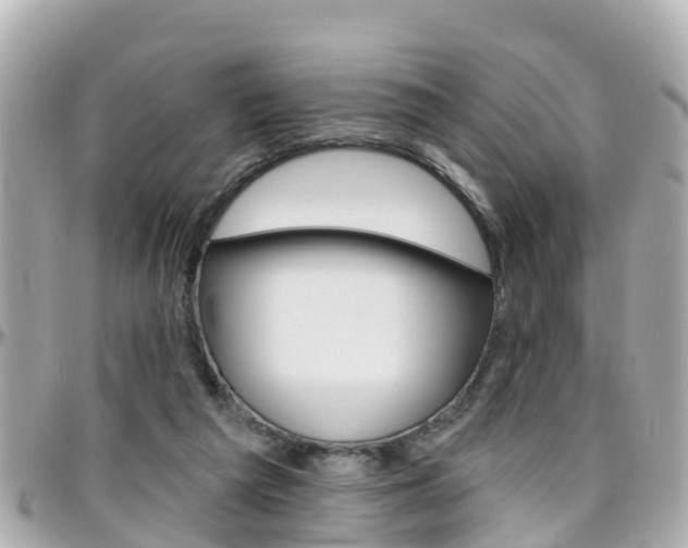 X0000096450209200801241147