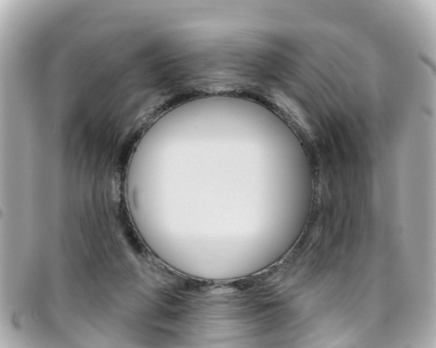 X0000096450210200801241147
