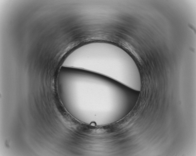X0000096450212200801241147