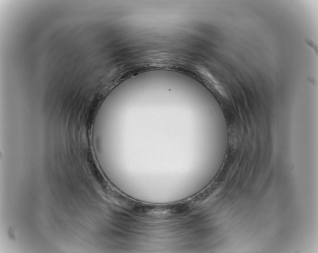 X0000096450213200801241147