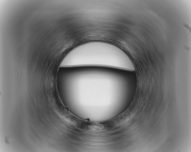 X0000096450215200801241147