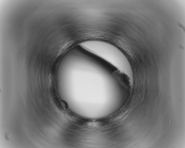 X0000096450216200801241147