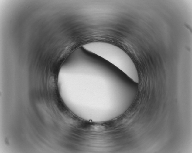 X0000096450220200801241147