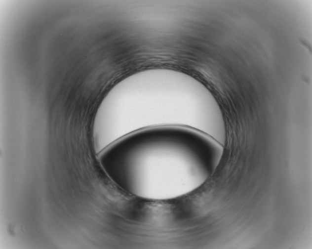 X0000096450221200801241147