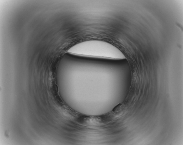 X0000096450223200801241147