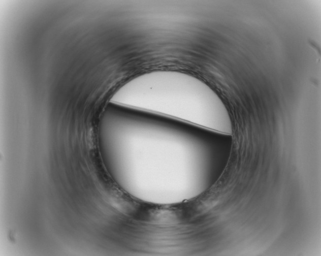 X0000096450224200801241147