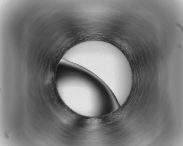 X0000096450225200801241147