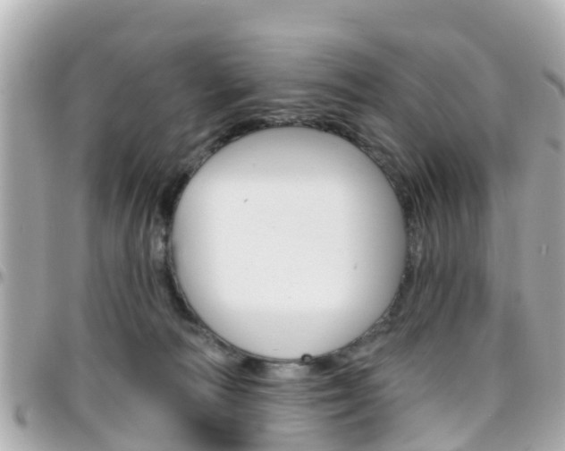X0000096450226200801241147