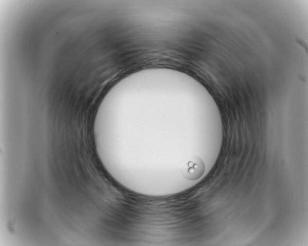 X0000096450228200801241147