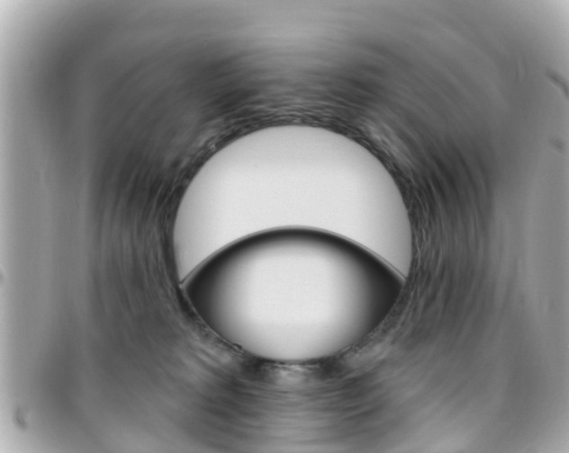 X0000096450229200801241147