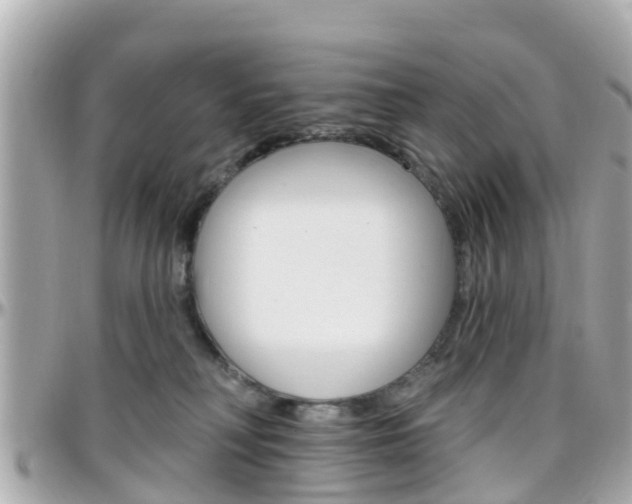 X0000096450230200801241147