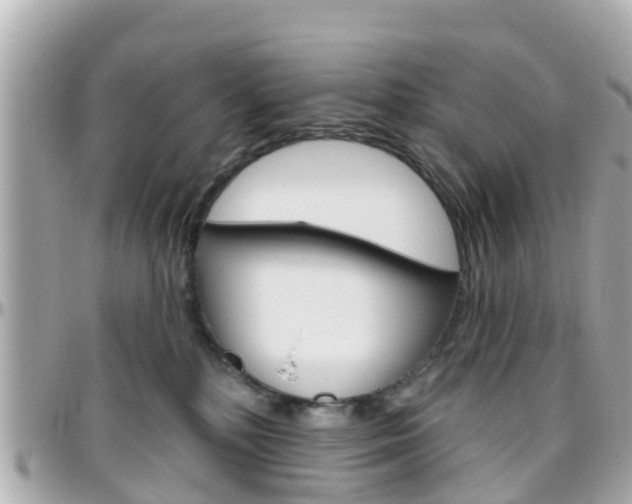 X0000096450232200801241147
