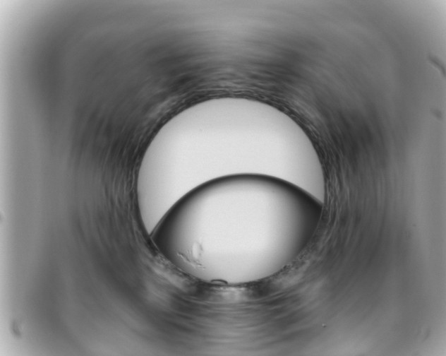 X0000096450233200801241147
