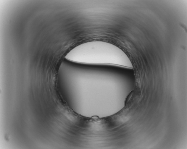 X0000096450235200801241147