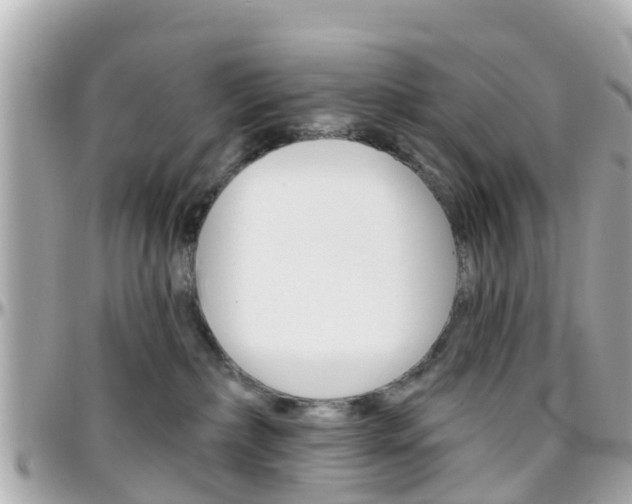 X0000096450236200801241147