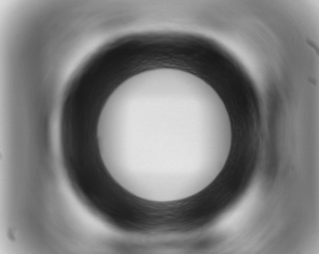 X0000096450239200801241147