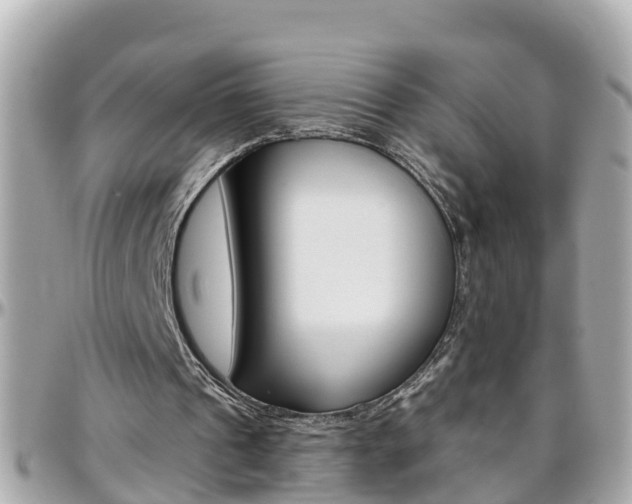 X0000096450241200801241146