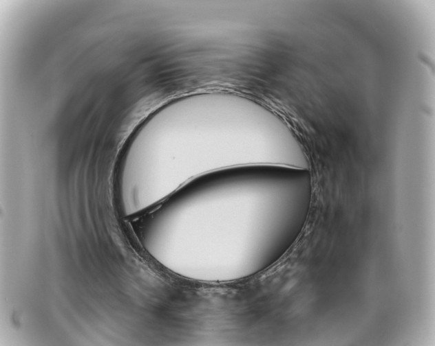 X0000096450242200801241146