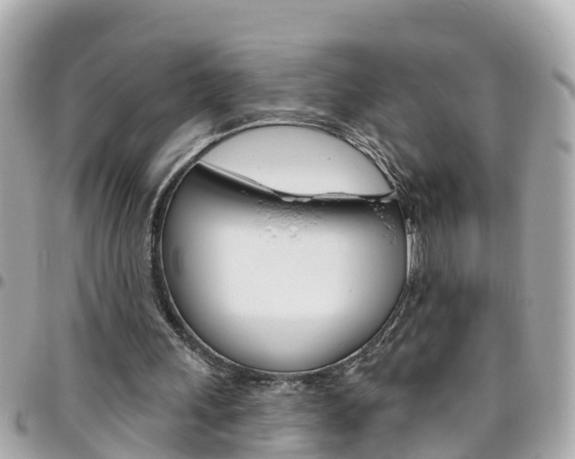 X0000096450243200801241146