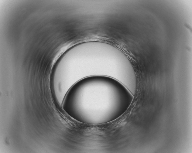 X0000096450244200801241146