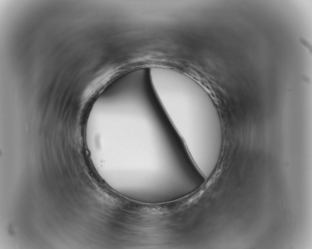 X0000096450245200801241146