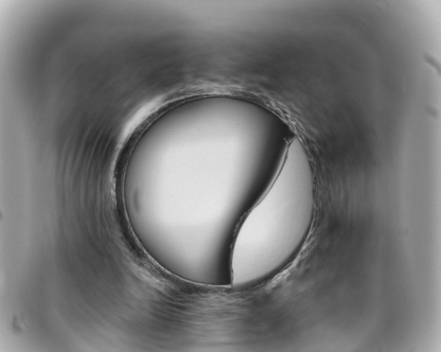 X0000096450246200801241146