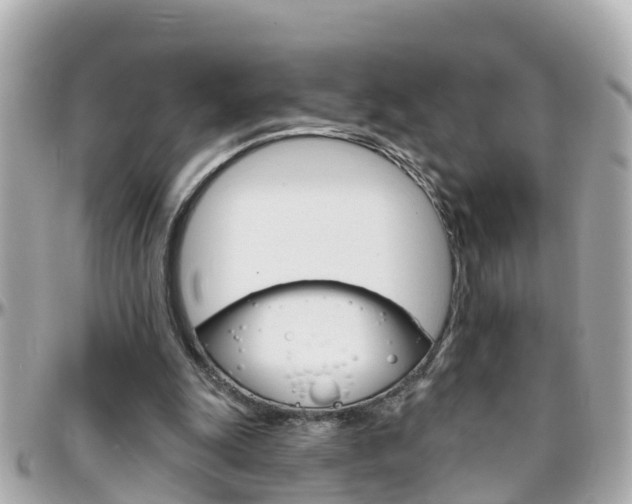 X0000096450247200801241146